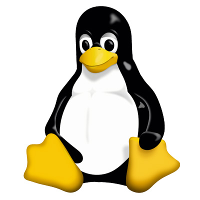 Linux/UNIX DNS Server - rozlišovanie sieťových názvov