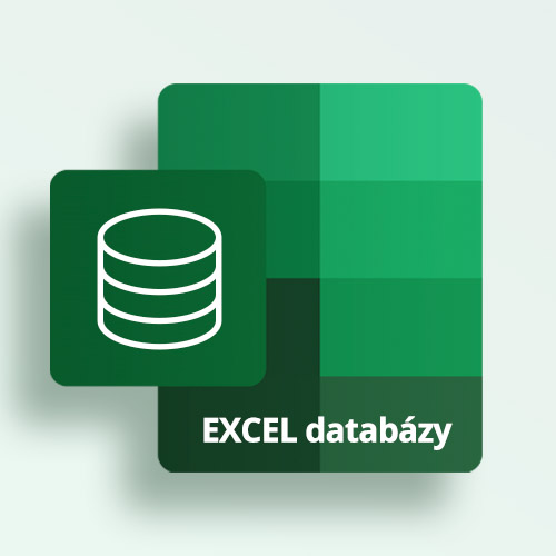 Počítačový kurz Microsoft Excel Databázy I. - Efektívne získavanie a čistenie údajov z rôznych zdrojov