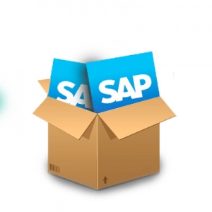SAP používateľ profesionál - začíname so SAPom, základy a pokročilá práca so systémom
