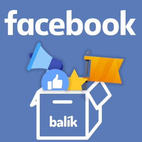 Balík Facebook Social manažér - profesionálny správca stránky, ktorý nerobí značke hanbu, ale generuje povedomie a zisk
